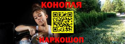 мяу мяу мука Ковров