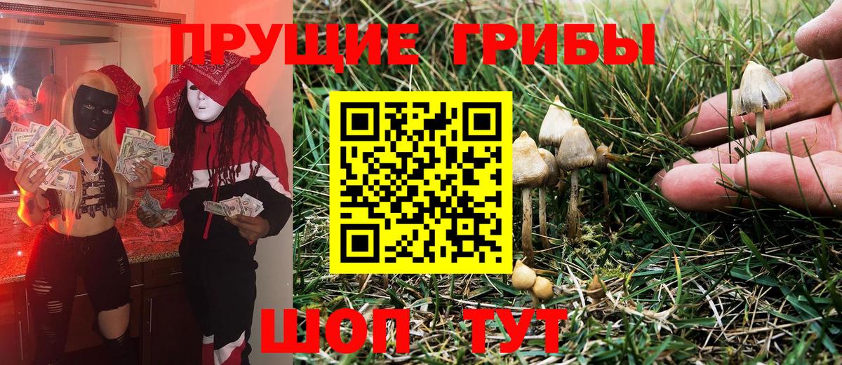 Амурск  Галлюциногенные грибы Magic Shrooms  Вход с VPN 